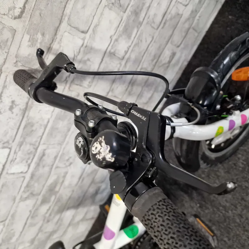 SPOTTY FROG 43 CHILDREN'S BIKE-1