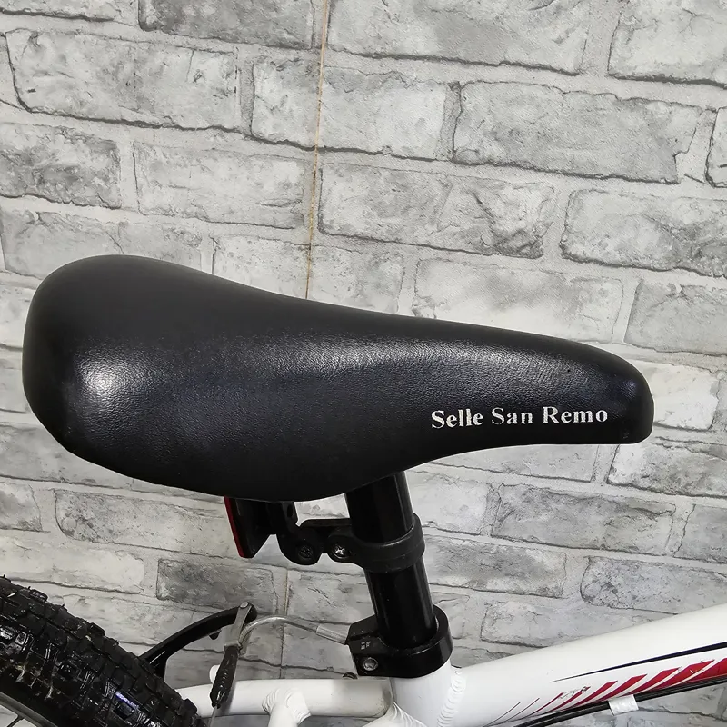 SPECIALIZED HOTROCK 20 CHILDRENS MOUNTAIN BIKE - 20 INCH WHEELS-5