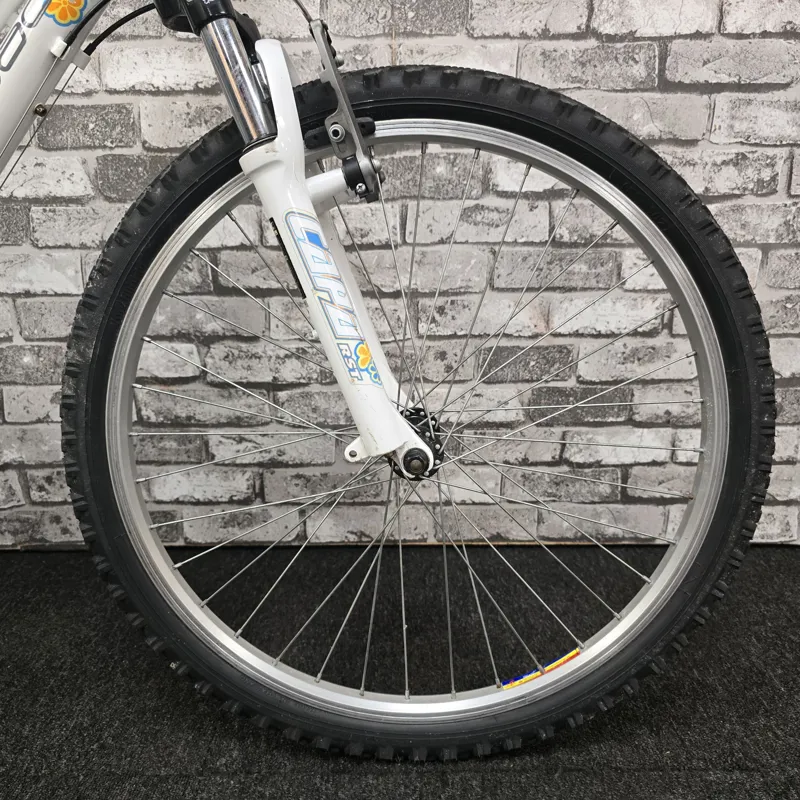 RIDGEBACK DESTINY GIRLS MOUNTAIN BIKE - 24 INCH WHEELS-2