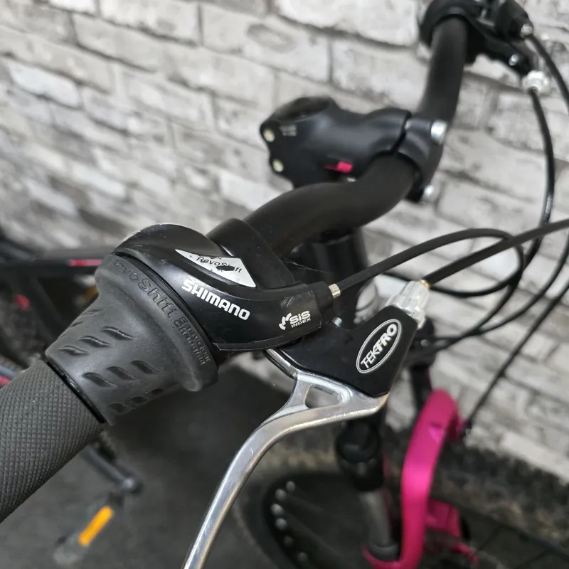 2022 CARRERA LUNA GIRLS MOUNTAIN BIKE - 24 INCH WHEELS-1