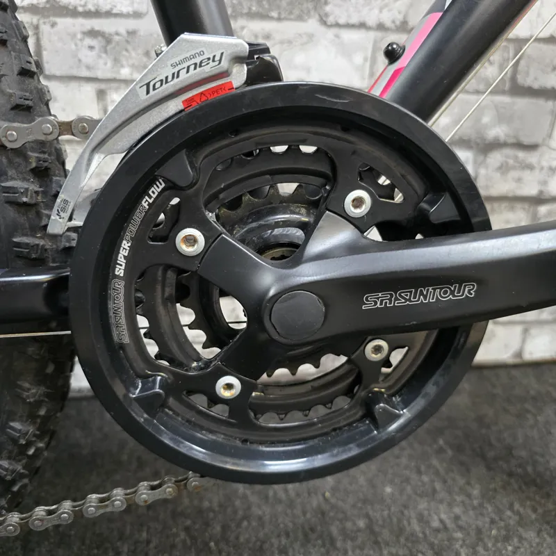 2022 CARRERA LUNA GIRLS MOUNTAIN BIKE - 24 INCH WHEELS-4