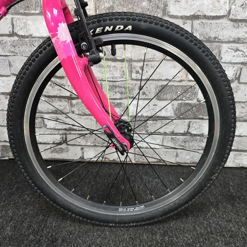 PINK FROG 52 CHILDREN'S HYBRID BIKE-2