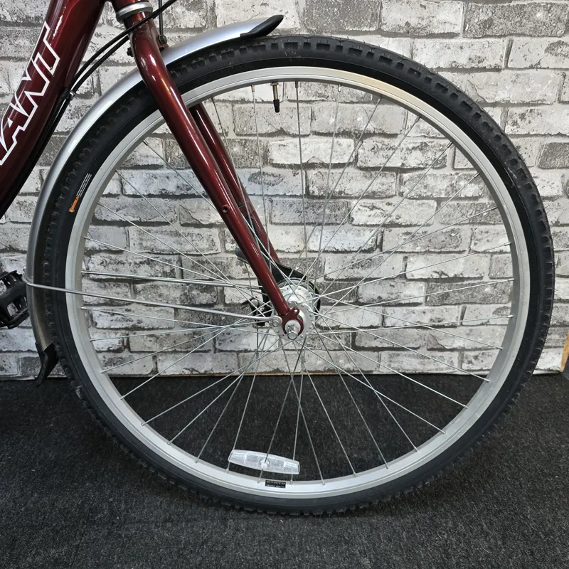 GIANT EXPRESSION WOMEN'S CITY BIKE - 17.5 INCH FRAME-2