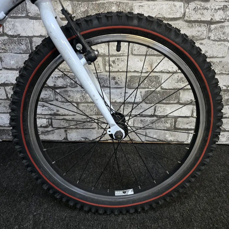 PINNACLE ASH 20 KIDS MOUNTAIN BIKE - 20 INCH WHEELS-2