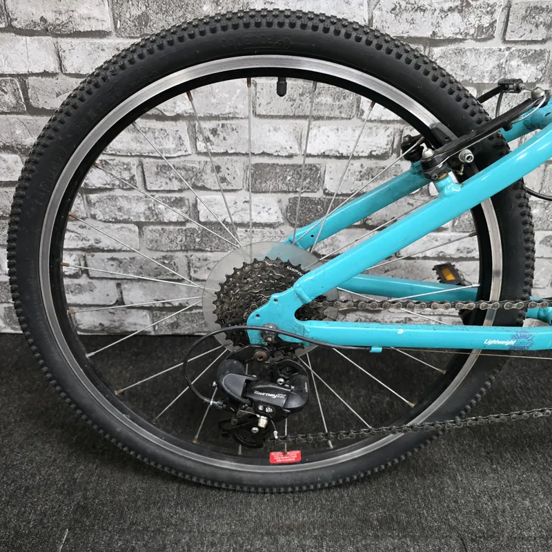 DAWES PARIS LT 20 KIDS HYBRID BIKE - 20 INCH WHEELS-3