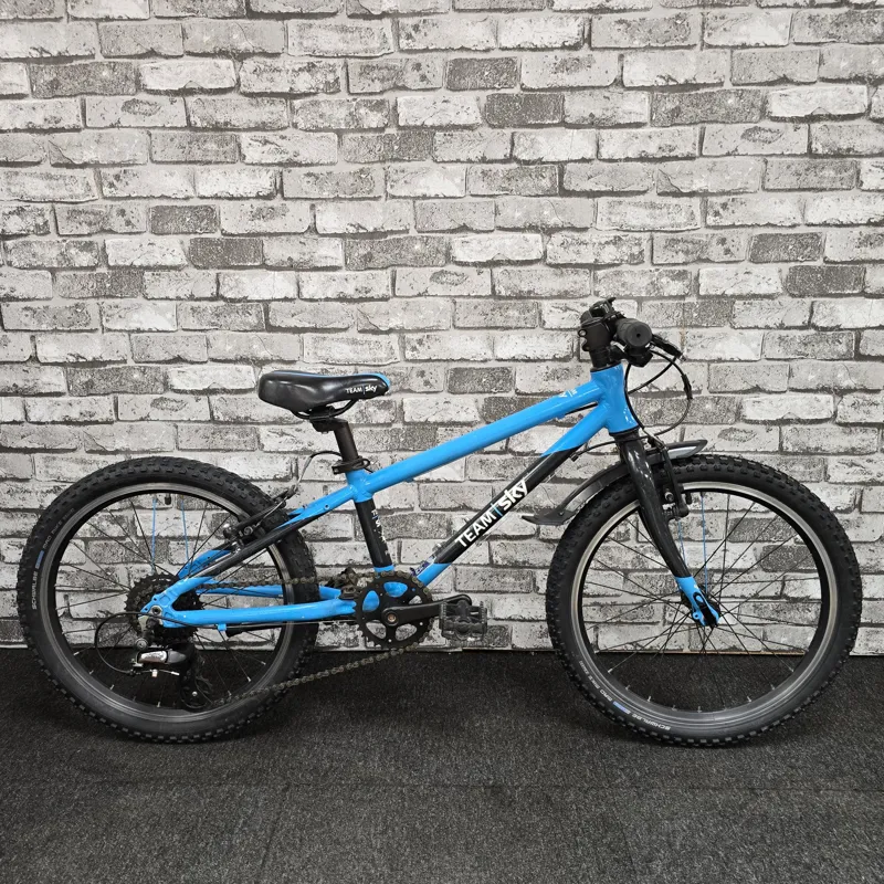 TEAM SKY BLUE FROG 52 CHILDREN'S FROG HYBRID BIKE-7