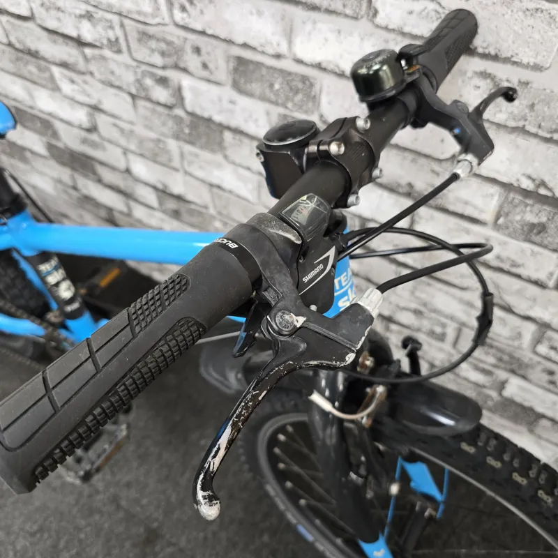 TEAM SKY BLUE FROG 52 CHILDREN'S FROG HYBRID BIKE-1