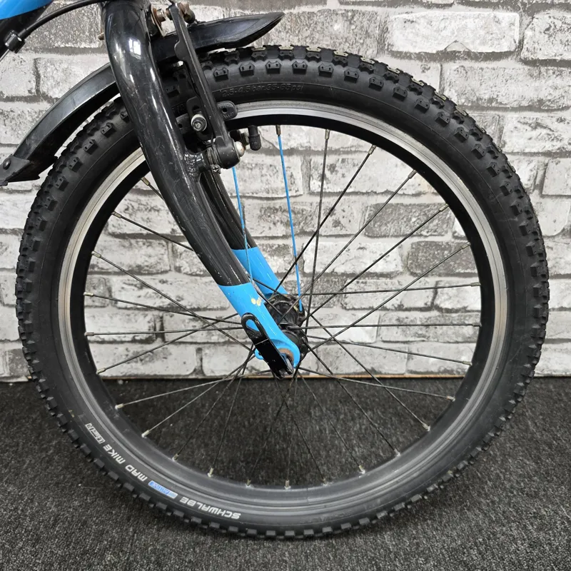 TEAM SKY BLUE FROG 52 CHILDREN'S FROG HYBRID BIKE-2