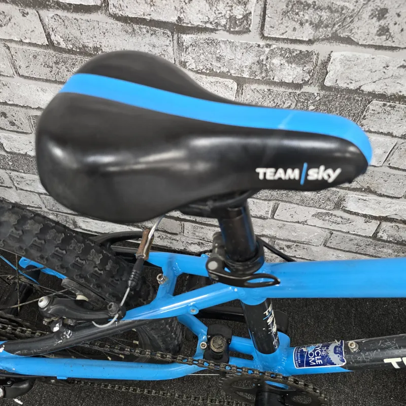 TEAM SKY BLUE FROG 52 CHILDREN'S FROG HYBRID BIKE-6