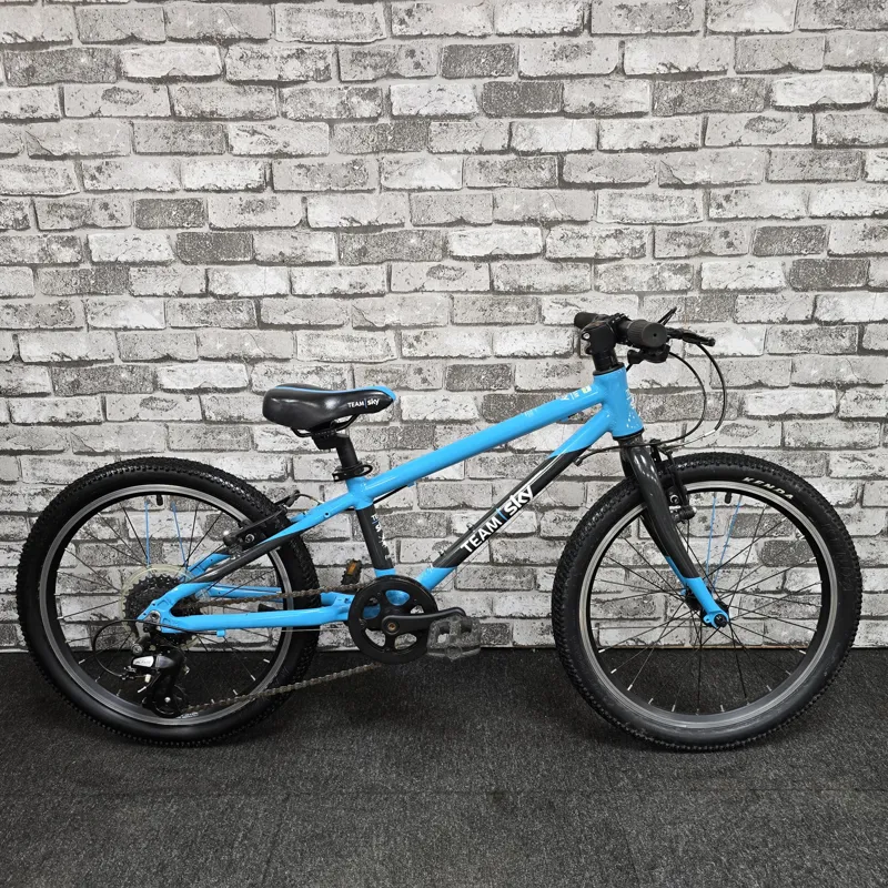 TEAM SKY BLUE FROG 52 CHILDREN'S FROG HYBRID BIKE-7