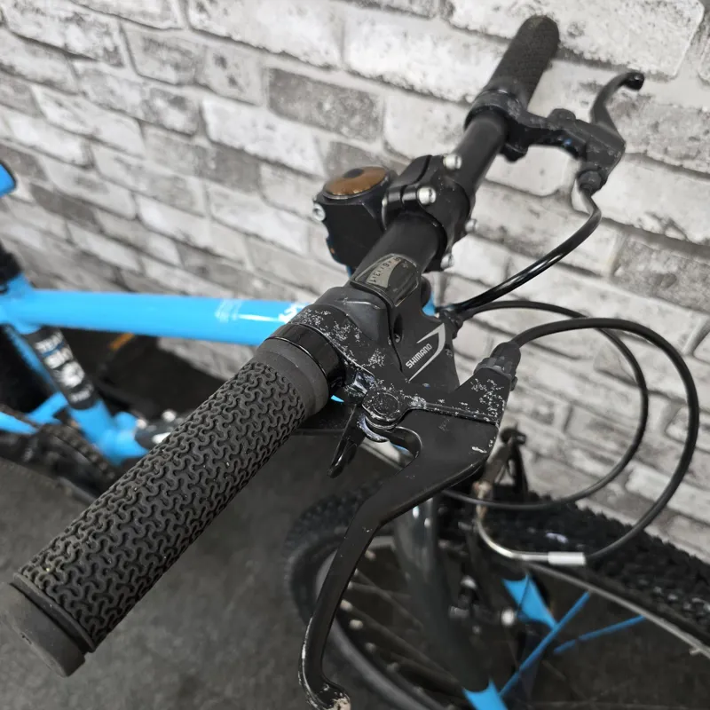 TEAM SKY BLUE FROG 52 CHILDREN'S FROG HYBRID BIKE-1