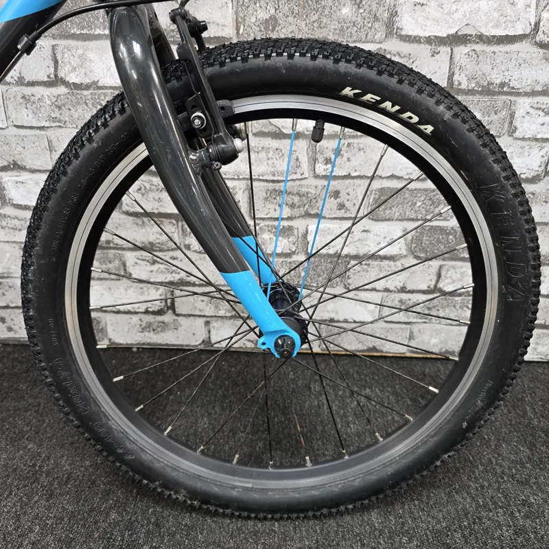 TEAM SKY BLUE FROG 52 CHILDREN'S FROG HYBRID BIKE-2