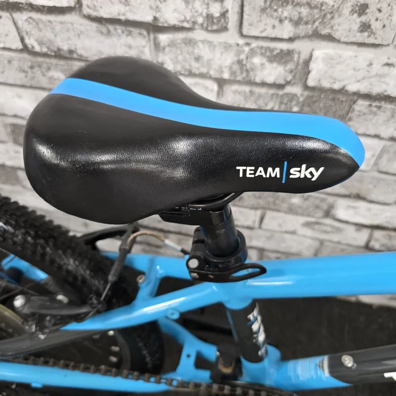 TEAM SKY BLUE FROG 52 CHILDREN'S FROG HYBRID BIKE-6