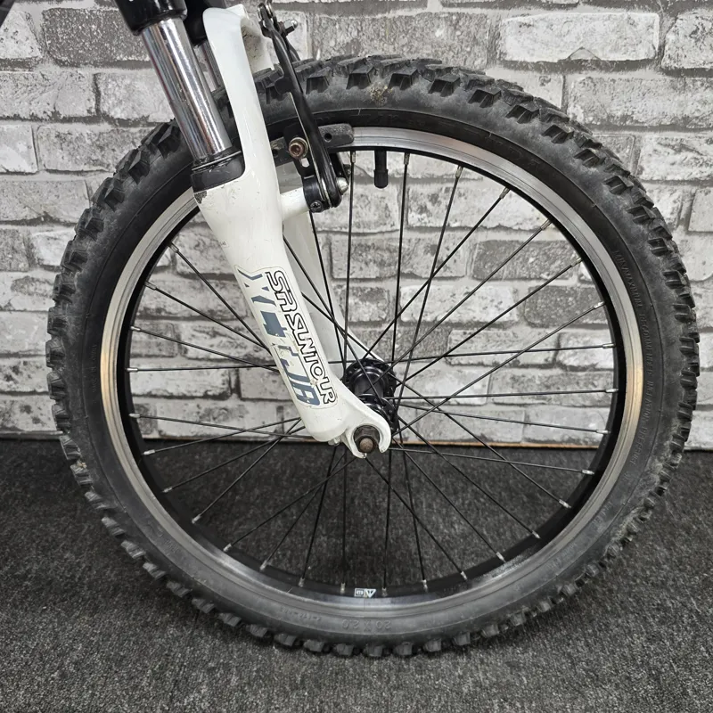 CARRERA BLAST JUNIOR KIDS MOUNTAIN BIKE - 20 INCH WHEELS-2