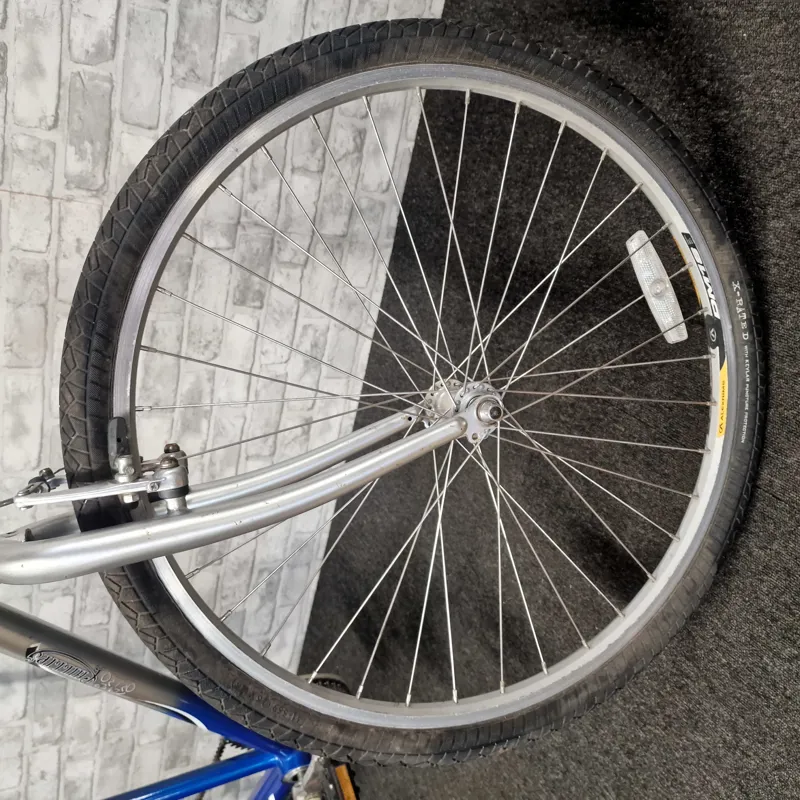 PHILLIPS DUO TANDEM BIKE-2