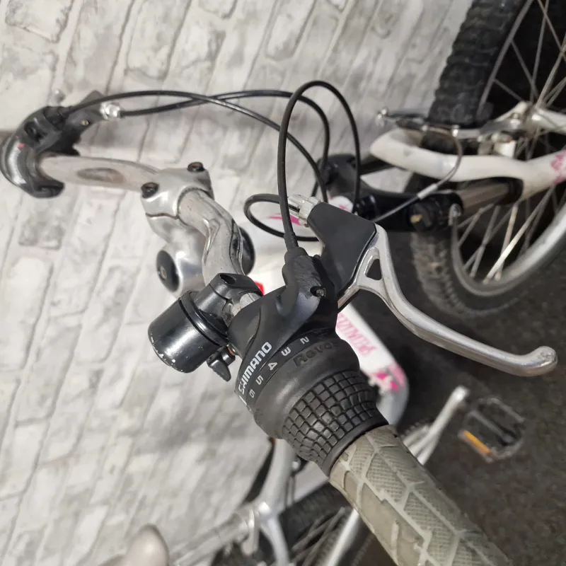 SPECIALIZED HOTROCK 24 GIRLS HARDTAIL MOUNTAIN BIKE - 24 INCH WHEELS-1