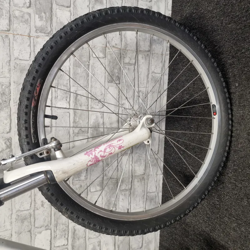 SPECIALIZED HOTROCK 24 GIRLS HARDTAIL MOUNTAIN BIKE - 24 INCH WHEELS-2