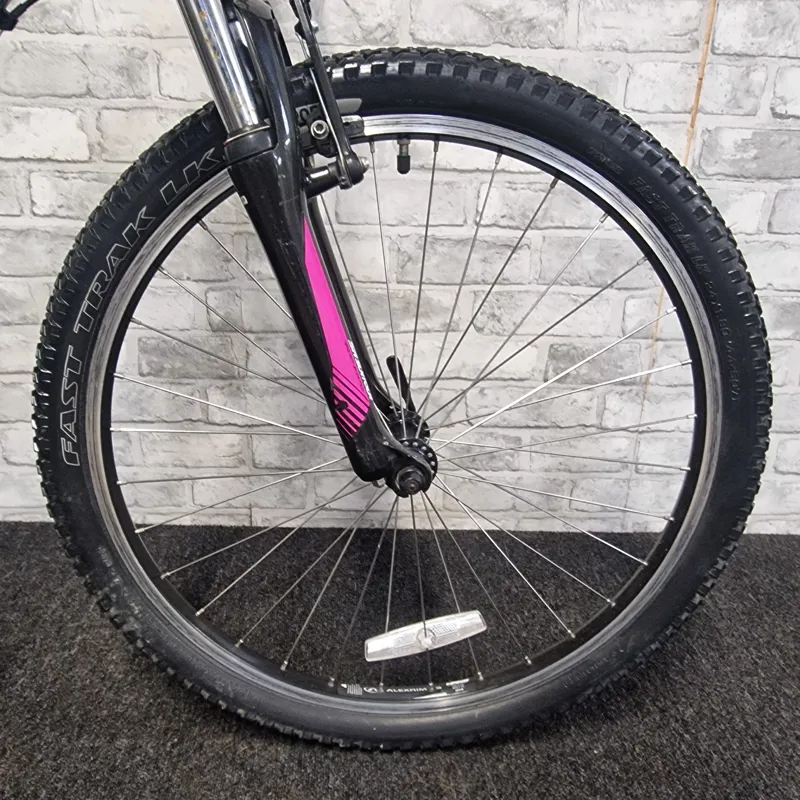 SPECIALIZED HOTROCK 24 GIRLS MOUNTAIN BIKE - 24 INCH WHEELS-2