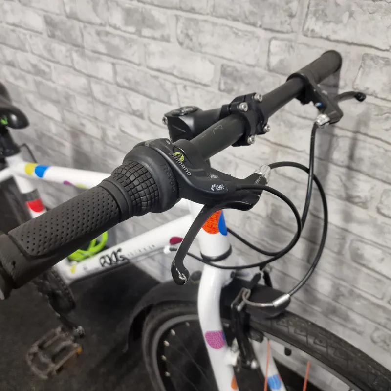 SPOTTY FROG 69 CHILDREN'S HYBRID BIKE-1