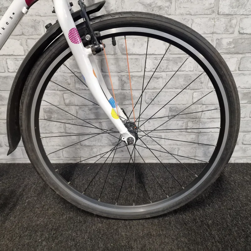 SPOTTY FROG 69 CHILDREN'S HYBRID BIKE-2