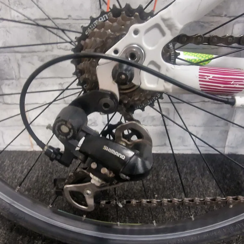 SPOTTY FROG 69 CHILDREN'S HYBRID BIKE-5