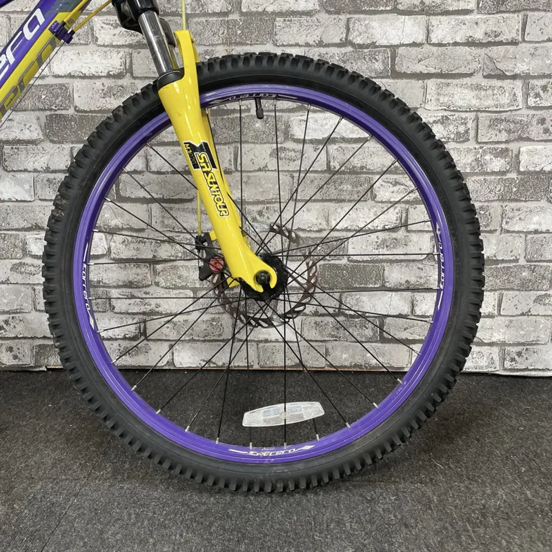 CARRERA LUNA - JUNIOR HARDTAIL MOUNTAIN BIKE-6
