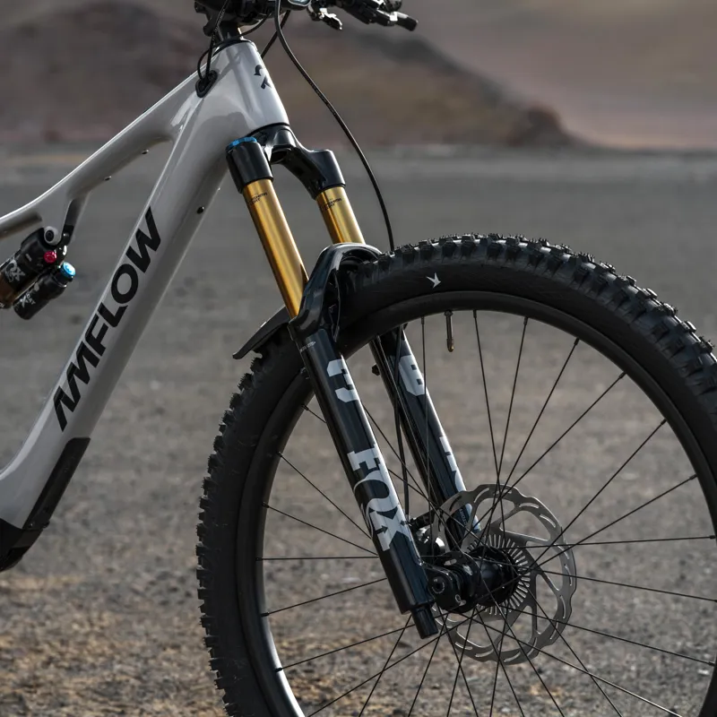 AMFLOW PX CARBON ELECTRIC MOUNTAIN BIKE-4