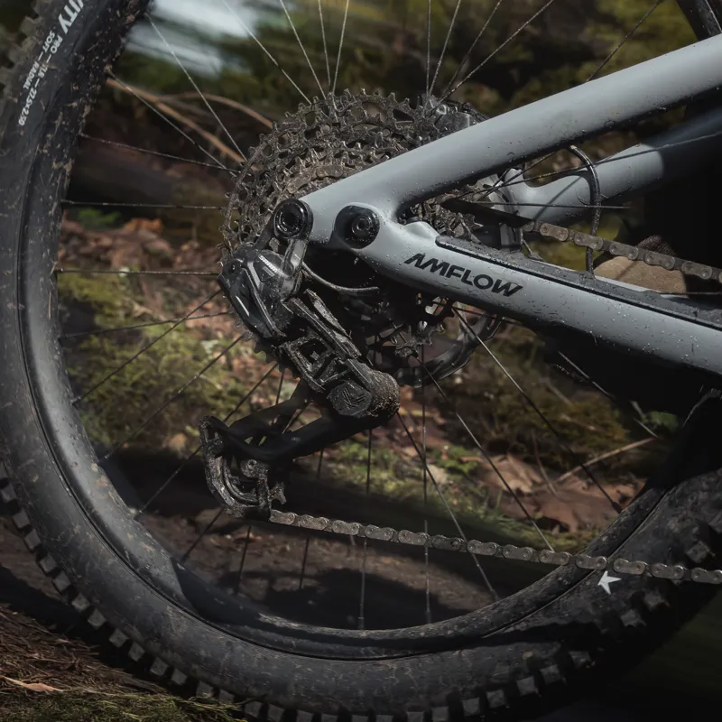 AMFLOW PR CARBON PRO ELECTRIC MOUNTAIN BIKE-5