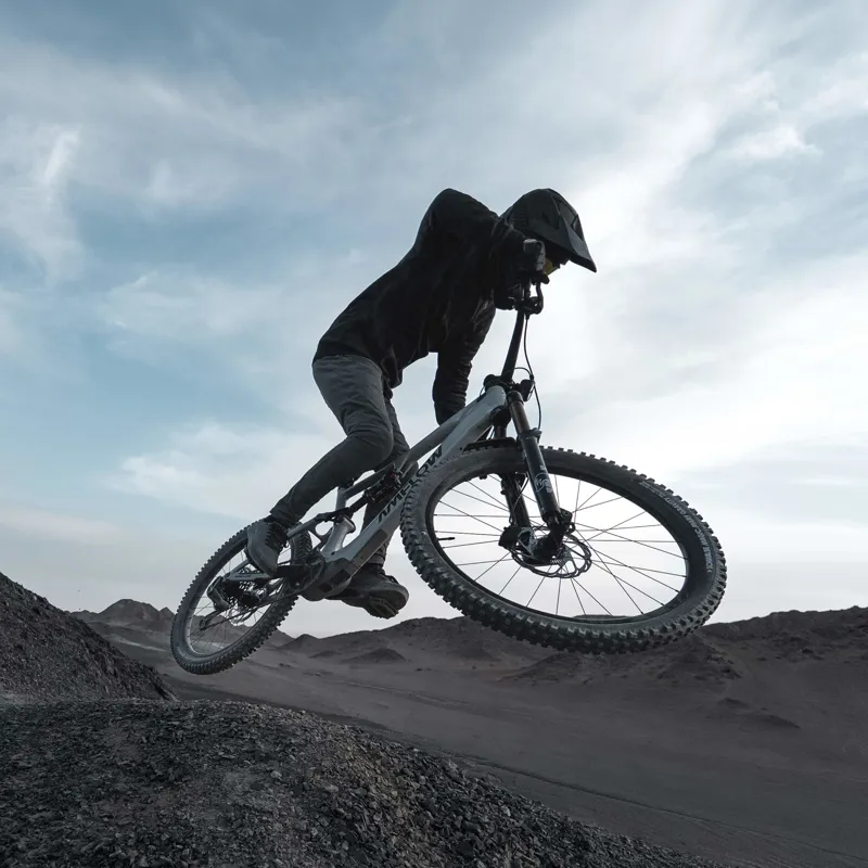 AMFLOW PX CARBON ELECTRIC MOUNTAIN BIKE-6