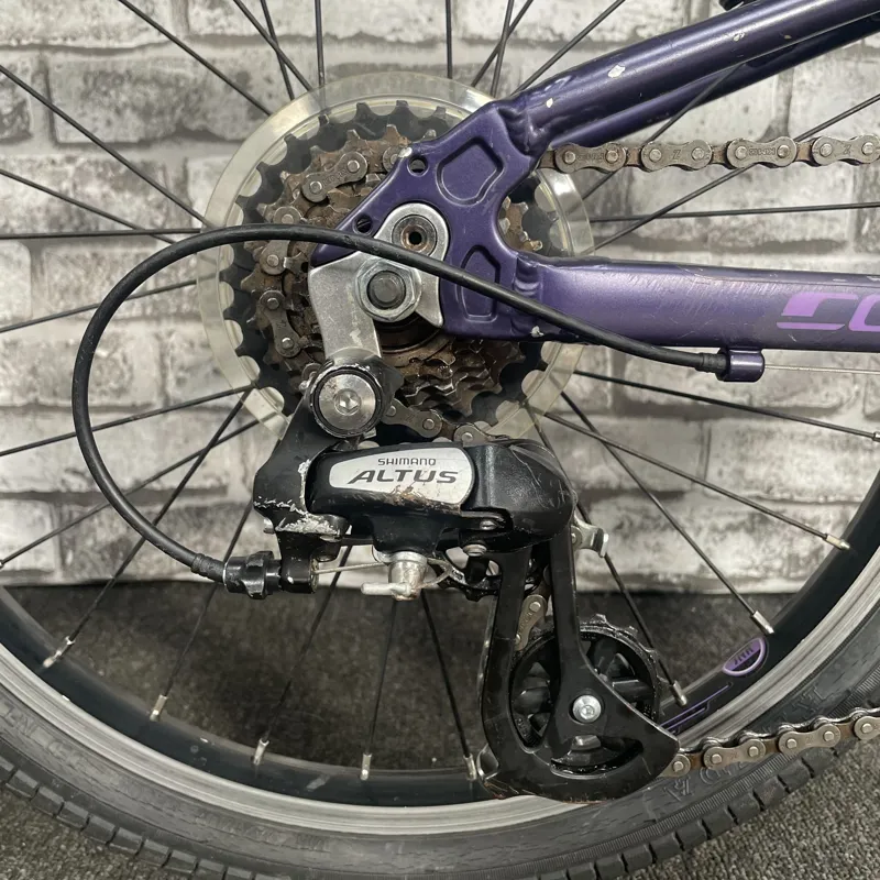 CARRERA SARUNA JUNIOR - HYBRID BIKE-3